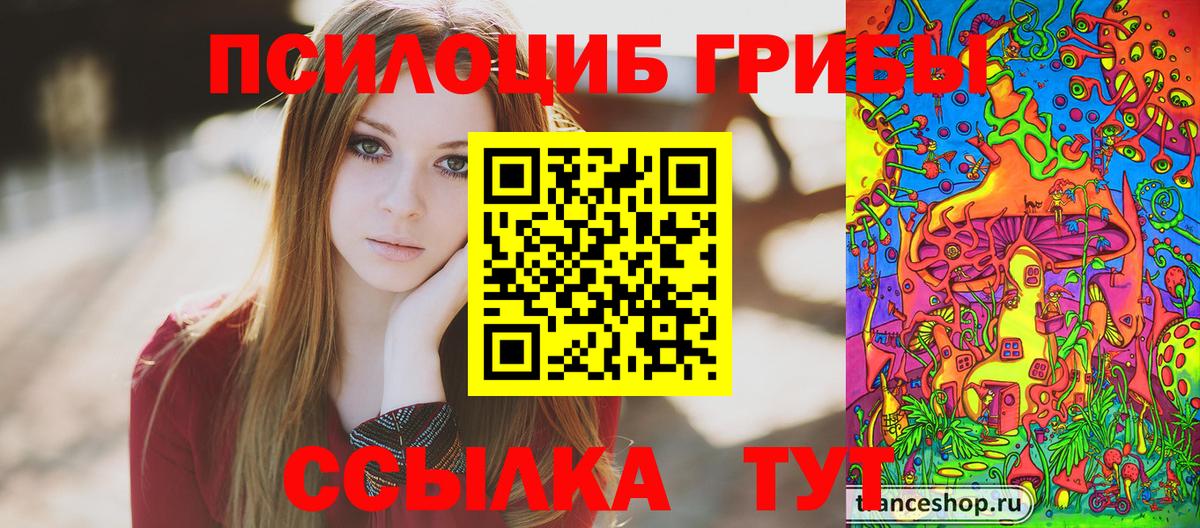 Псилоцибиновые грибы прущие грибы Ступино