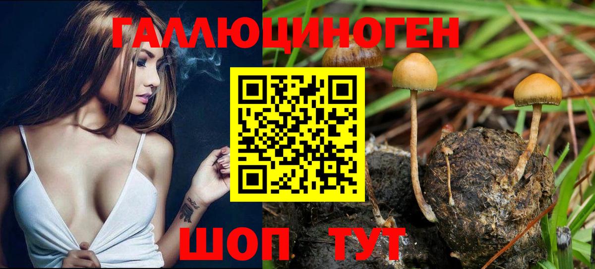 Ступино  Галлюциногенные грибы Psilocybe  Вход с VPN 